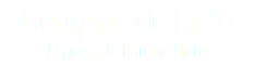 Georgina de Pinto Esposa de Ramón Pinto 